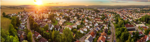 Common Colorado Endorsements